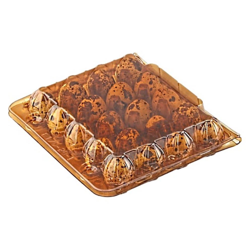 Упаковка для перепелиных яиц пластиковая 20 ячеек коричневая 170х150х39 мм 1 шт (744 шт/ящ)