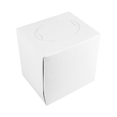 Салфетка косметическая Eco Point двухслойная белая в квадратном боксе 20х17 см 75 листов/уп