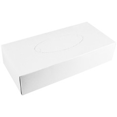 Салфетка косметическая Ruta Professional двухслойная белая в прямоугольном боксе 21х20 см 80 листов/уп (21 уп/ящ)